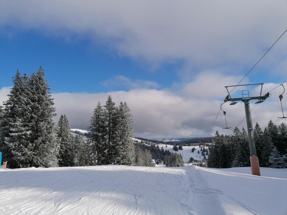 Schwarzwaldnest Feldberg Feldberg (Baden-Wurttemberg)