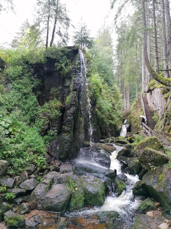 Schwarzwaldnest Feldberg Feldberg (Baden-Wurttemberg)