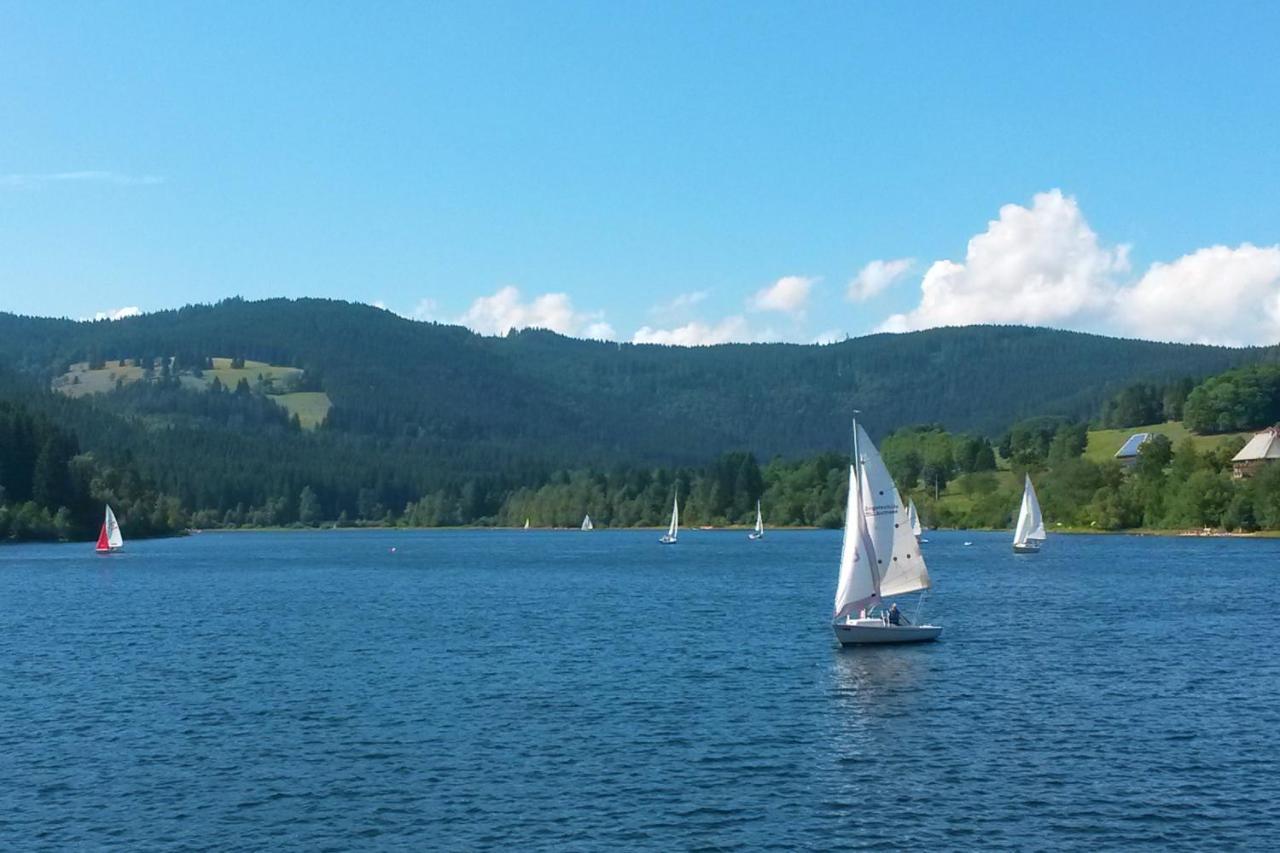 Schwarzwaldnest Feldberg